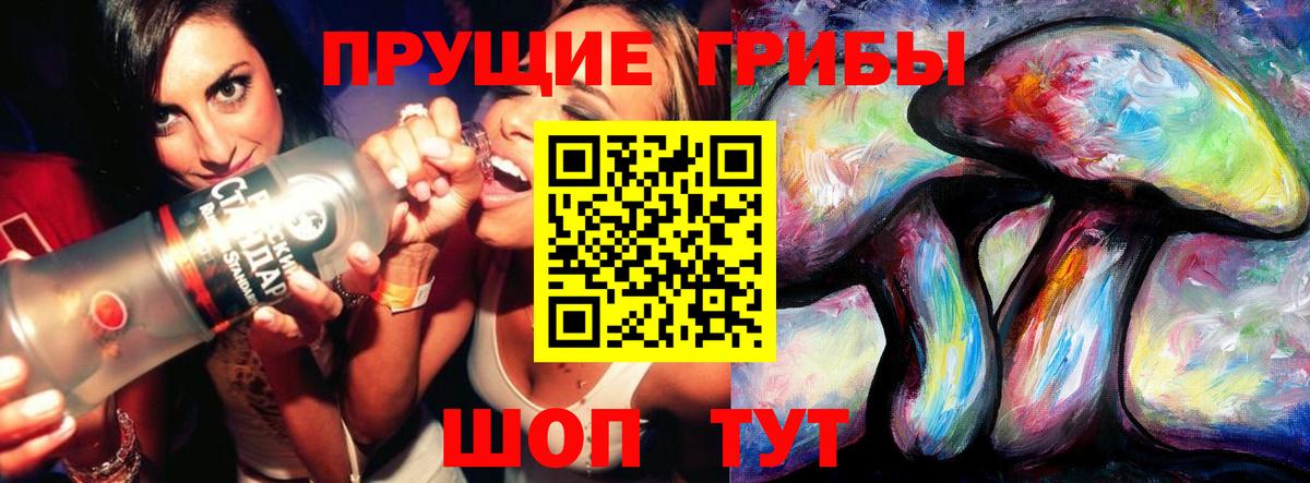 Галлюциногенные грибы Psilocybe Ставрополь
